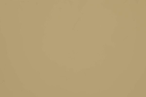 Алюмінієва композитна панель 4-04 Albond® 7000 / SOLID / RAL 1000 Green Beige
