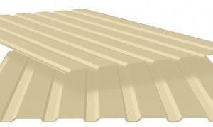 Профнастил Т 8 RAL 1015