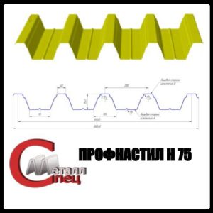 Несучий Профнастил Н-75 / 0,65 мм