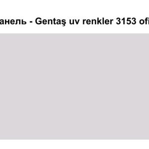 HPL Панель Екстер'єр — Gentaş/6 мм / 3153 / Ofis gri