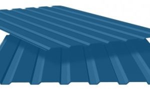 Профнастил Т 8 RAL 5005