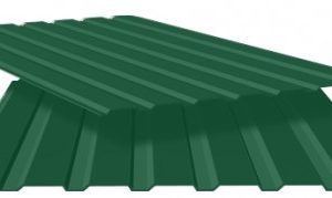 Профнастил Т 8 RAL 6005